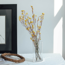 Australia imported natural kangaroo claw dried flower Japanese Nordic eternal flower dried branch bouquet soft home window decoration