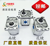Hydraulic oil pump CBN-F306 314 316 320 F325 Hydraulic gear pump spline single key flat key