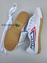 Feiyue Dabo Wushu Shoes Track and Field Sports Shoes Running Training Tai Chi Childrens Wenshu Shoes Shaolin Canvas Shoes