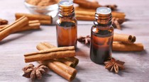Antiviral and anti-inflammatory effect obtained by distillation of unilateral cinnamon essential oil