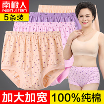 Antarctic mother cotton underwear female high waist size middle-aged briefs loose cotton grandmother pants