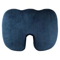 Sealy ass pillow