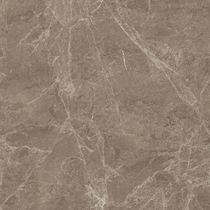 Cimic Tile Turkey fei wang