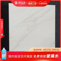 Dongpeng tile-Carrara