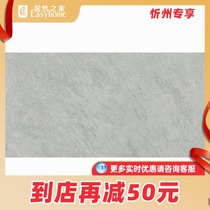 Marco Polo Matt light gray modern Nordic industrial style CH12730