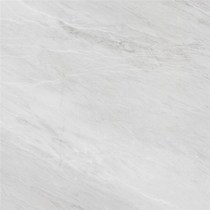 Guangdong Foshan Eagle ceramics Sanuo Lion (golden flame)E0GF02DE