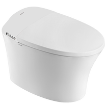 Wrigley bathroom intelligent integrated toilet women washing drying seat thermostatic heating ceramic body AKB1197-B