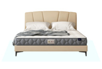 Sophia Belle series Shuda bed plus mattress
