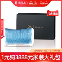 Serta American Serta Mattress Official Gel Pillow