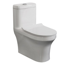 Brilliant bathroom toilet 1011