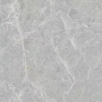 100 Li Jing --- Silver Fox Grey