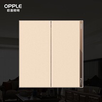 Aup Lighting Wall Switch T07 Series 1021A-F-J7-Two opening single