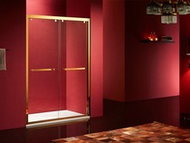 Rose Island shower room ppl2-s722 stainless steel partition screen easy to clean safe dry and wet separation