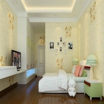 Haoerbao air purification inorganic coating Wall Wall material