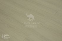 Cassmo Camel House Camel House89 Yuan Square Store Self-mention