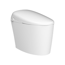 Hengjie bathroom HCE817A01 intelligent all-in-one machine