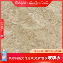 Dongpeng tile cappuccino FG805378 home 800*800