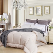 AIRLAND home textile warm soft winter thick quilt postage self-care