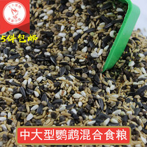 Medium and large parrot feed Xuanfeng peony small sun golden sun monk Alex mixed food bird food 500g