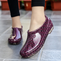 Spring waterproof shoes shoes short low-top boots Ms. mothers shoes zhong lao nian kuan mu qin xie boots antiskid female