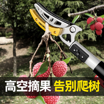 Fruit picking artifact high-altitude cutting fruit picking artifact scissors telescopic artifact Scissors Scissors fruit jujube branches