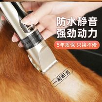 Samoye Beauty Division Hairdresser Hairdresser Hairdresser Animal Hairdresser pooch Hair Dresser Pet Store Exclusive