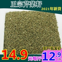 21 years of new celery seeds pure celery seeds 500g natural premium quality pure authentic measuring spoon drop