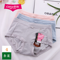 4 colorful fields Underpants female cotton Bacteriostatic crotch Xia Bo Breathable Modell Less Lady Japan Tie Corner Short Pants Head