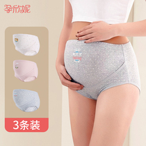 Pregnant womens underwear second trimester late pregnancy early pregnancy large size high waist cotton crotch autumn and winter