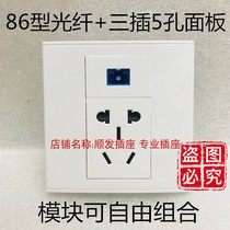 Optical fiber two or three plug panel concealed 86 type White SC power supply 23 plug five hole SC light thousand 128 module wall socket