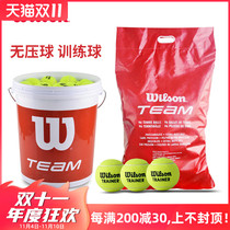 wilson wilson Willson Tennis Wool Training Teaching Competition Large Bucket Bagged Bulk Resistant Ball