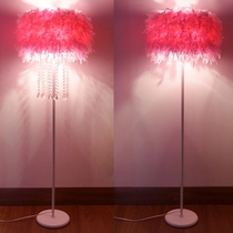 Girl Wedding Crystal Feather Floor Lamp Main Podcast Eu Style Living Room Fashion Bedroom Floor Lamp Pink Tanyard Lamps