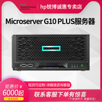 HP HP MicroServer Gen10 plus4 disk storage micro Tower Server nas hot selling explosion
