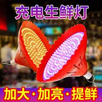 Rechargeable fruit light LED Fresh pork light Seafood cooked food braised vegetable light Power outage emergency outdoor night market stall light