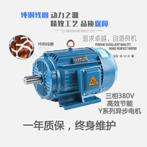 Copper 0 75 1 1 2 2 3 7 5kw three-phase asynchronous motor 380V single-phase household 220V frequency control