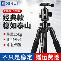 SIRUI R2004 G20KX Tripod Kit SLR Camera Professional Stable Tripod Gimbal Photography Stand