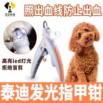 Teddy pet small dog dog manicure pliers with lamp blood line anti-bleeding supplies Daquan nail scissors