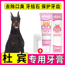 Dupin Dog Toothpaste Easible Pets Toothbrush Large Dog Toothbrush to Toothbrush Cleaning Special Product Finger