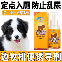 Border herding dog training to go to the toilet fixed-point defecation inducer to prevent pet dogs from pulling excretions and urination