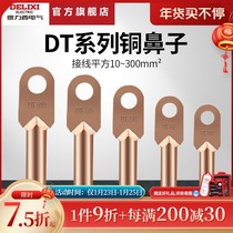 Delixi DT10 16 25 50 70 95 150 185 240 300 square copper nose terminal