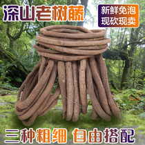 Tree vine dead vine decoration red mountain vine vine branches indoor living room simulation grape leaf flower rattan fake plant trunk