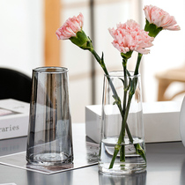 Ins style Nordic simple glass vase net red hydroponic green plant flower arrangement small vase living room decoration ornaments