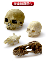 Avoiding Lizard Corn Snake Spider Scorpion Reptile Box Gecko Crawler Lion Desert Ecological Rainforest Tank Decoration