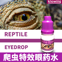 Climbing horned frog Gonggong lizard eye drops blindfolded anti-inflammatory semi-water turtle white eyes swollen not open eye drops