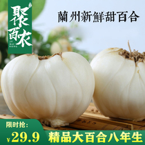 Four heads of Emperor Gansu specialty Lanzhou Lily fresh edible pure sweet natural white and non-dry goods Special 500g