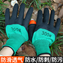 Gardening gloves stab-proof waterproof pepper picking special gloves planting flowers pulling grass picking cabbage nail thickened gloves