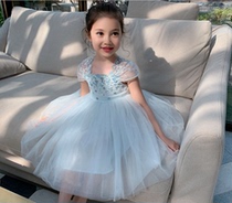 High-end girls princess dress baby birthday dress flower girl dress dress dress little girl puffy dress dress dress
