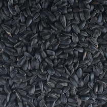 Black melon seeds 50kg