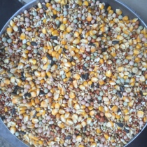 Liangliangdeyi Class A carrier pigeon pigeon food Pigeon food breeding pigeon pigeon feed pigeon material 25 kg