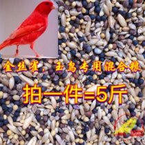 Jade bird mixed grain canary hibiscus bird bird pearl bird ten sisters golden bluebird feed